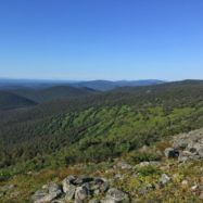 Parc national de la Gaspésie