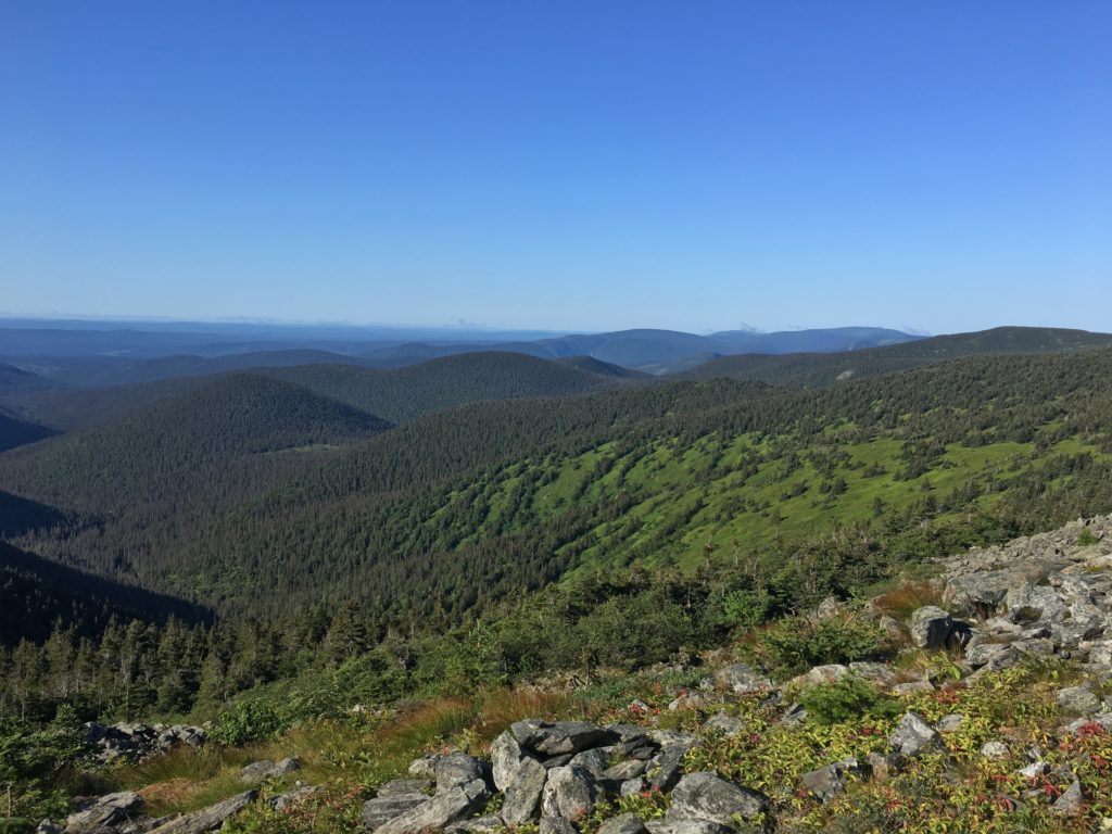 Parc national de la Gaspésie